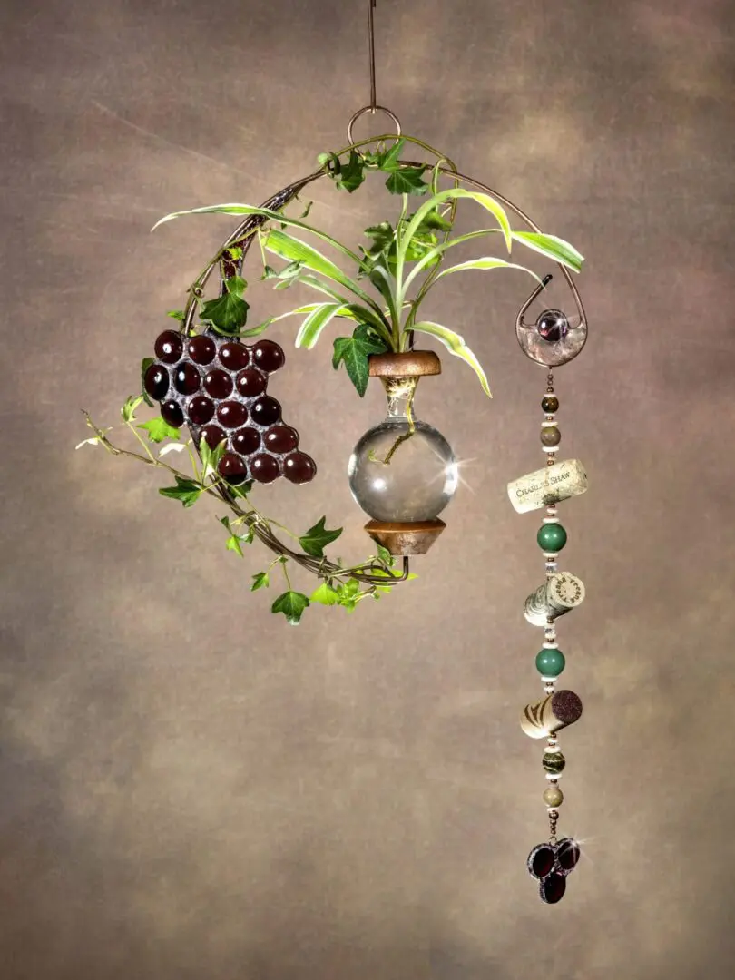 Wine Time Design Plant Rooter on display